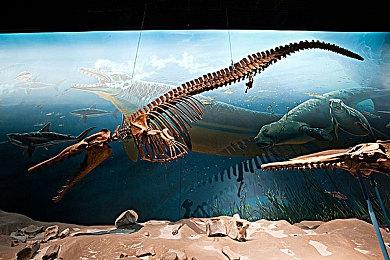 故意隐藏？SE已从Sweet Baby公司客户名单中移除