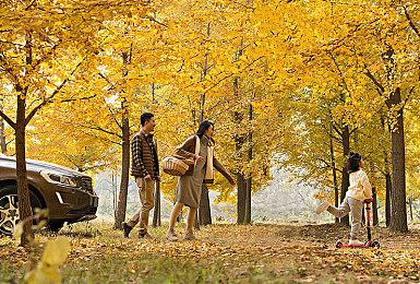 《星刃》IGN 7分：动作出色、剧情角色欠佳