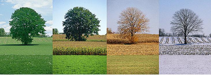 大变样！《GTA：罪恶都市》和《GTA6》画面对比